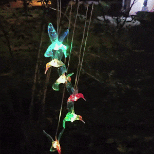 momokee® Hummingbird Wind ℂ𝕙𝕚𝕞𝕖 𝕃𝕚𝕘𝕙𝕥𝕤