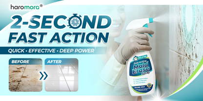 momokee® Fast-Acting Mold Erase Spray