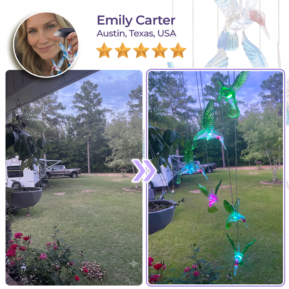 momokee® Hummingbird Wind Chime Solar Lights