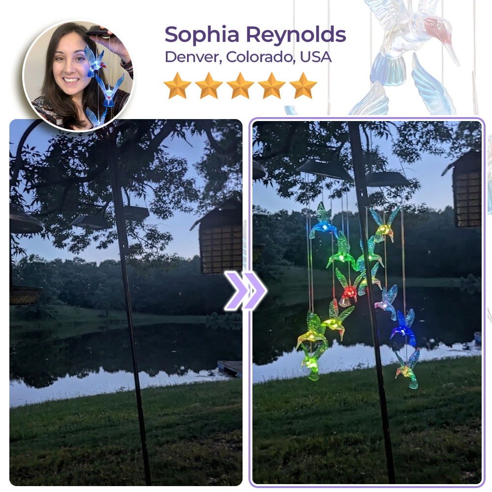 momokee® Hummingbird Wind Chime Solar Lights