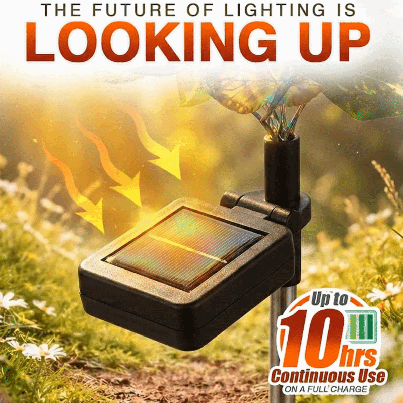 Momokee® Solar Outdoor Garden Decorative Lights