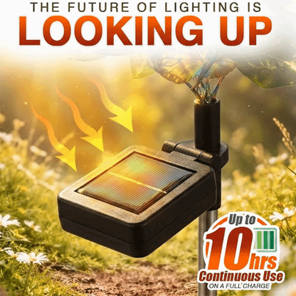 Momokee® Solar Outdoor Garden Decorative Lights