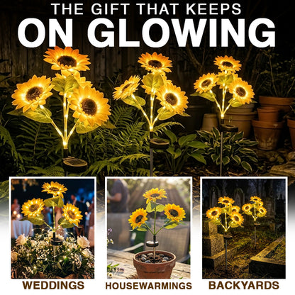Momokee® Solar Sunflower Garden Lights