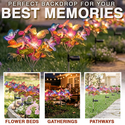 Momokee® Solar Outdoor Garden Decorative Lights