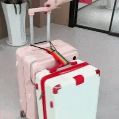 Momukee® LuggageLock