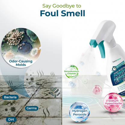 momokee® Fast-Acting Mold Erase Spray
