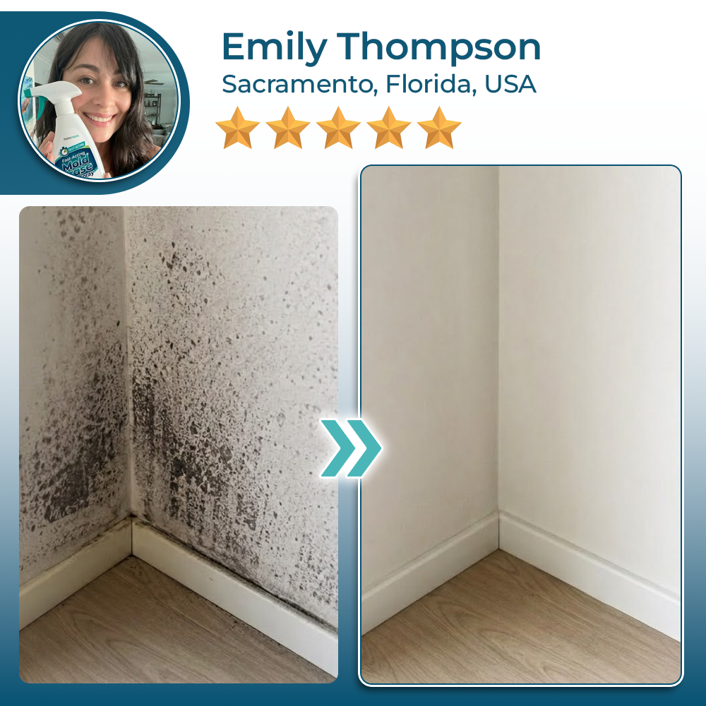 momokee® Fast-Acting Mold Erase Spray