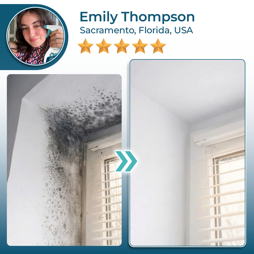 momokee® Fast-Acting Mold Erase Spray